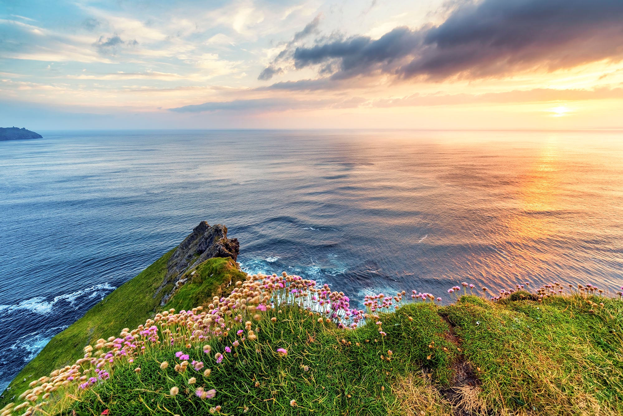 colorful flowers on a high cliff overlooking the sea