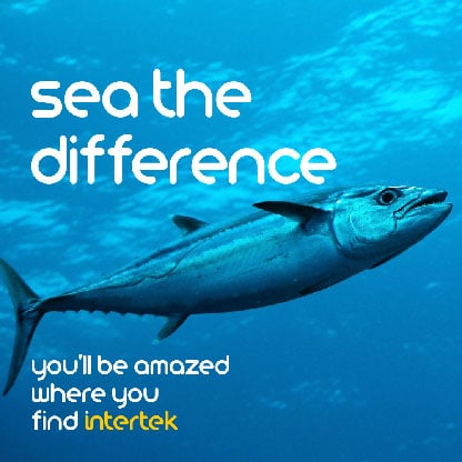 A fish swimming in the ocean